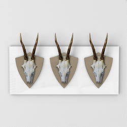 Trophäenschild Rehböcke beige weiß von WaidmannsDank