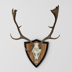 Wohnaccessoires für Jäger - Trophäenplatten in Zebrano