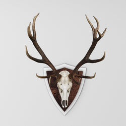 Exklusive Tropfenplatte / Trophäenschild Rothirsch in Weiß hochglänzend und Edelholz
